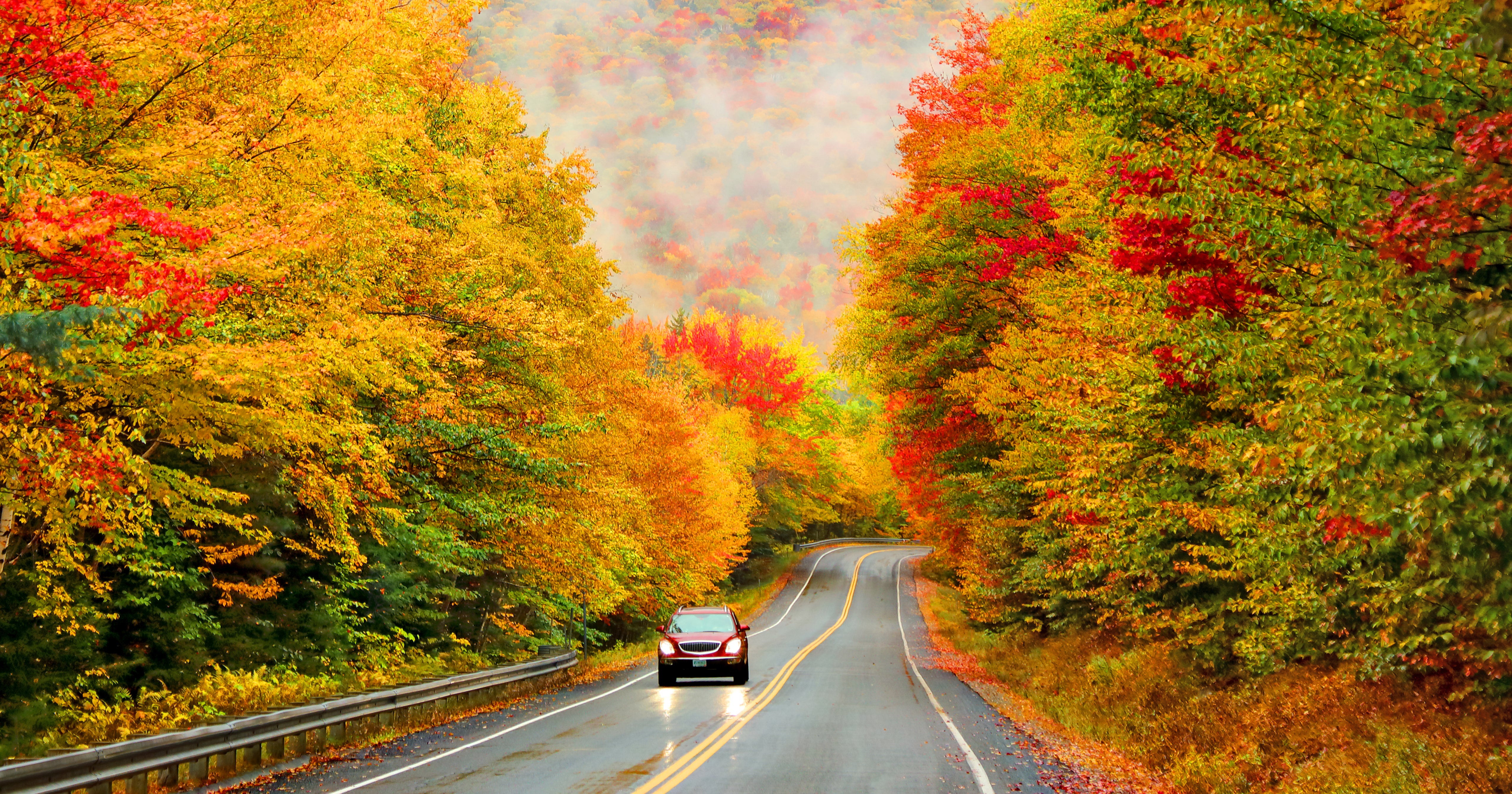 Why Leaf Peeping Autumn Foliage Trips Trendy In 2020