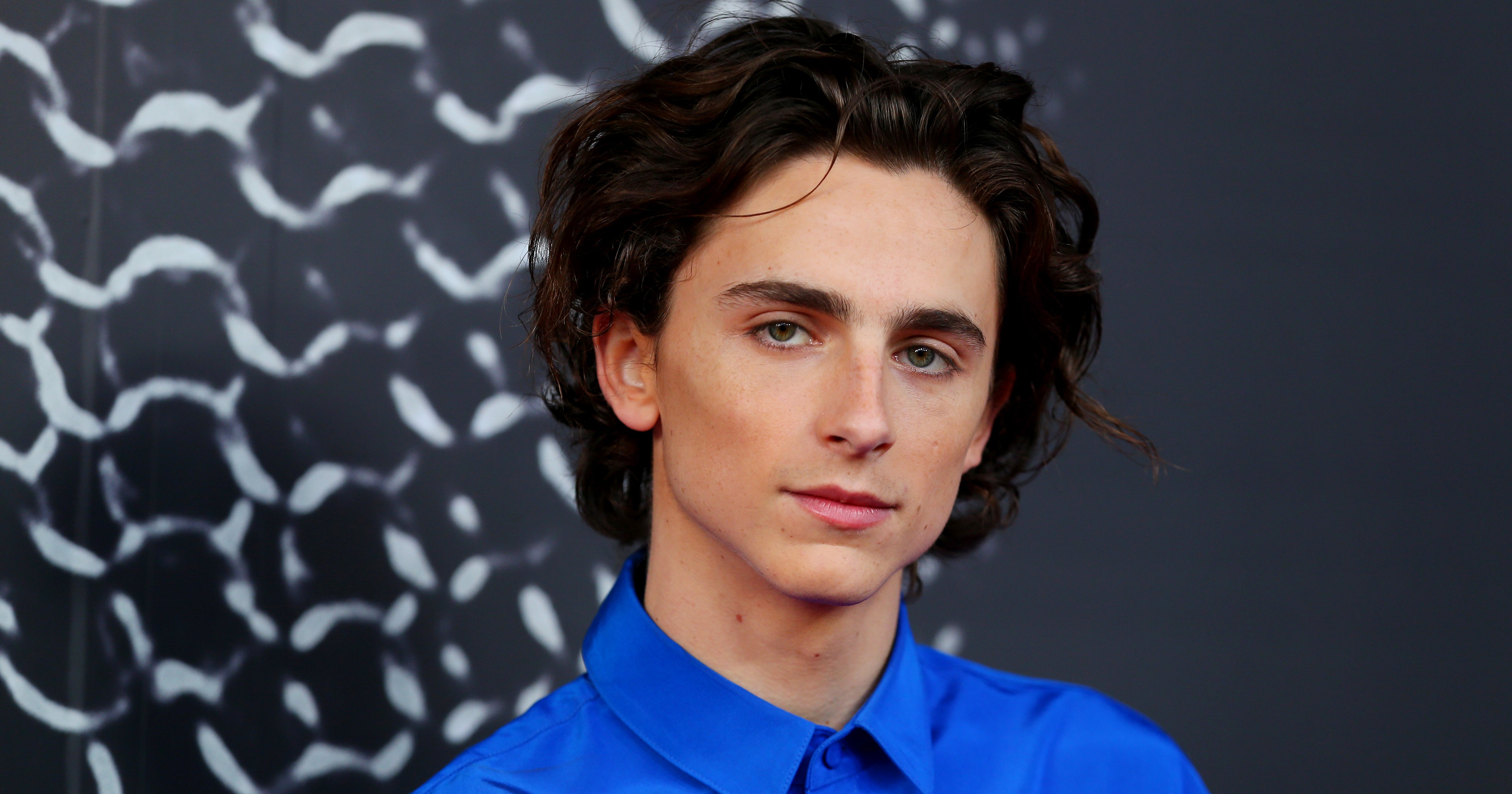 Dune' Director Says He Had to 'Direct Timothée Chalamet's Haircut