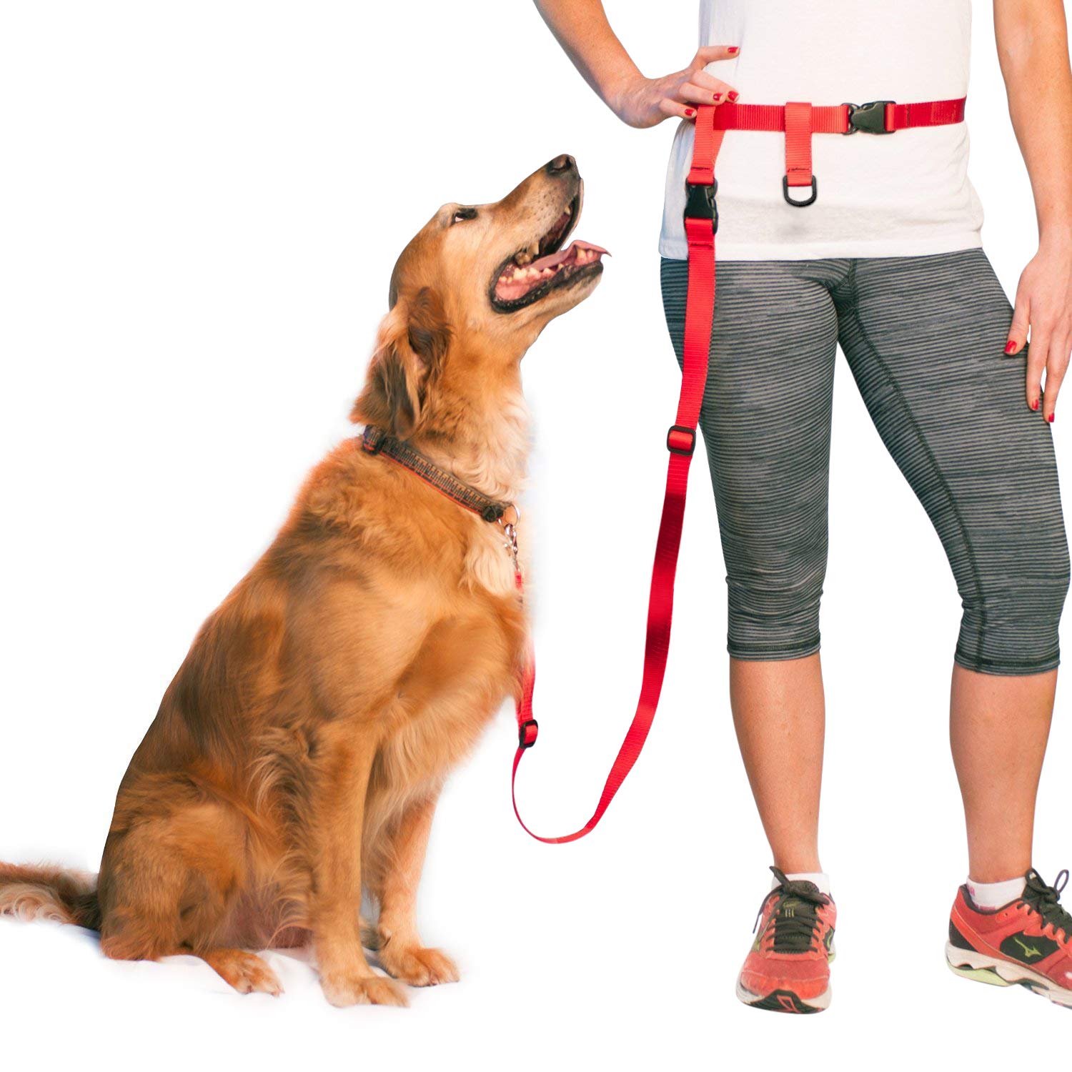The Buddy System + Adjustable Hands Free Dog Leash, Hand Leash for