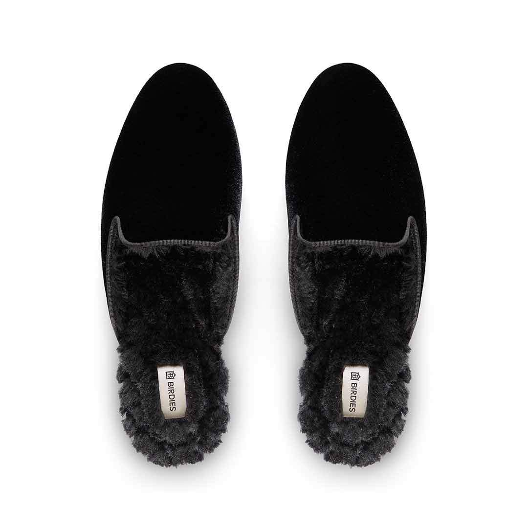 Birdies + The Phoebe