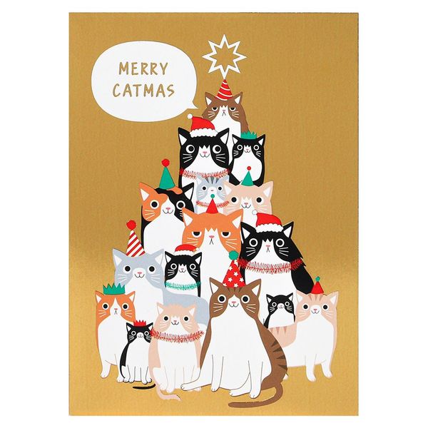 The Best Card Company Cats Antics 4 x 5.12 Inch - Playful Winter Kitties AM3195XSG-B2x10 20 Assorted Boxed Merry Christmas Note Cards with Envelopes 