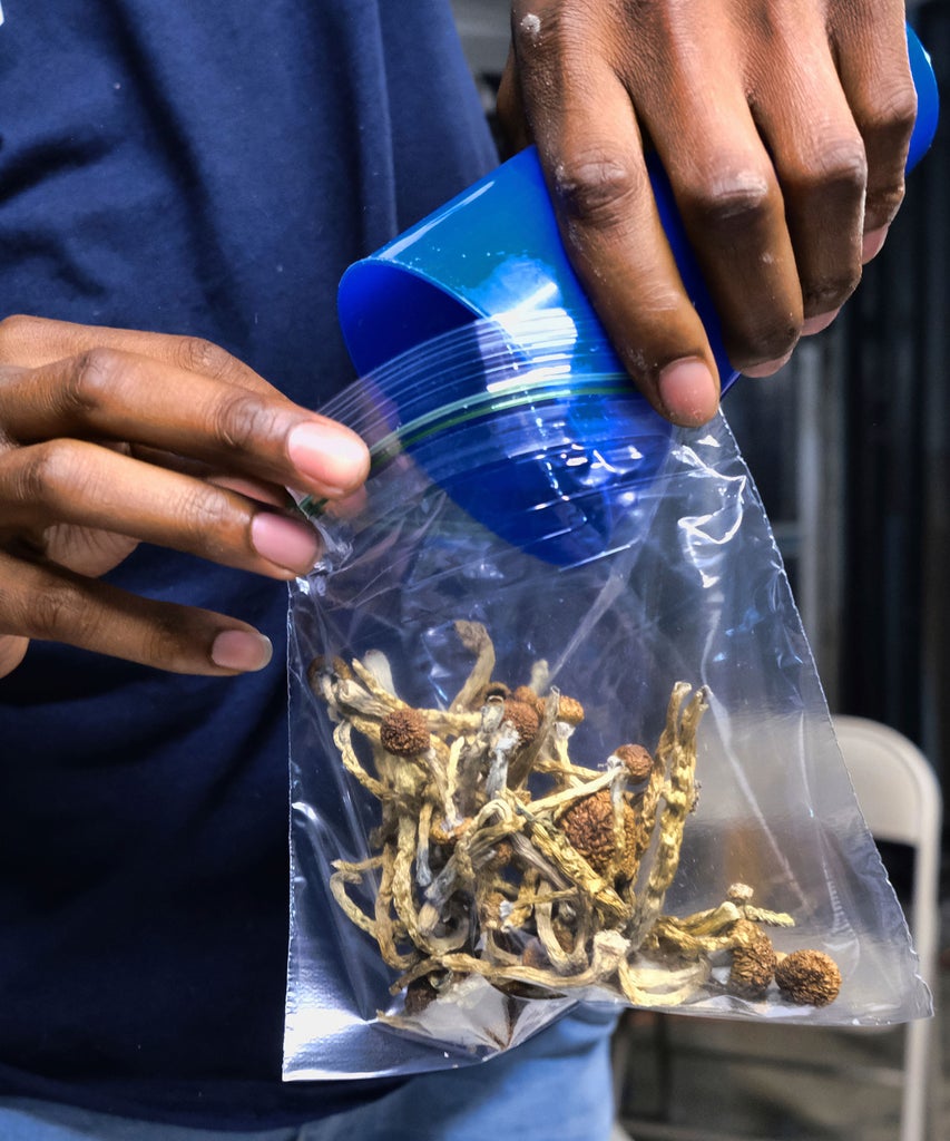 Oregon Just Legalized Magic Mushrooms