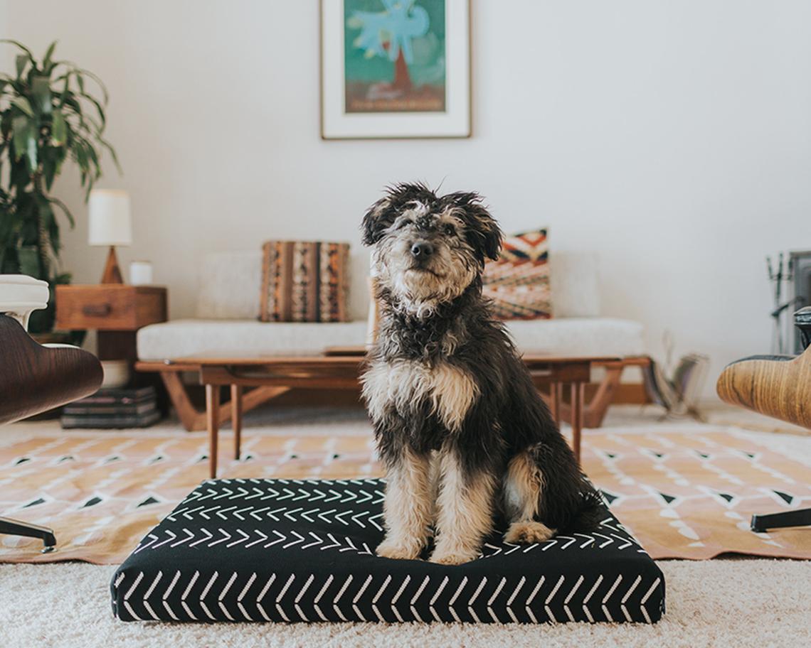 Mudcloth shop dog bed