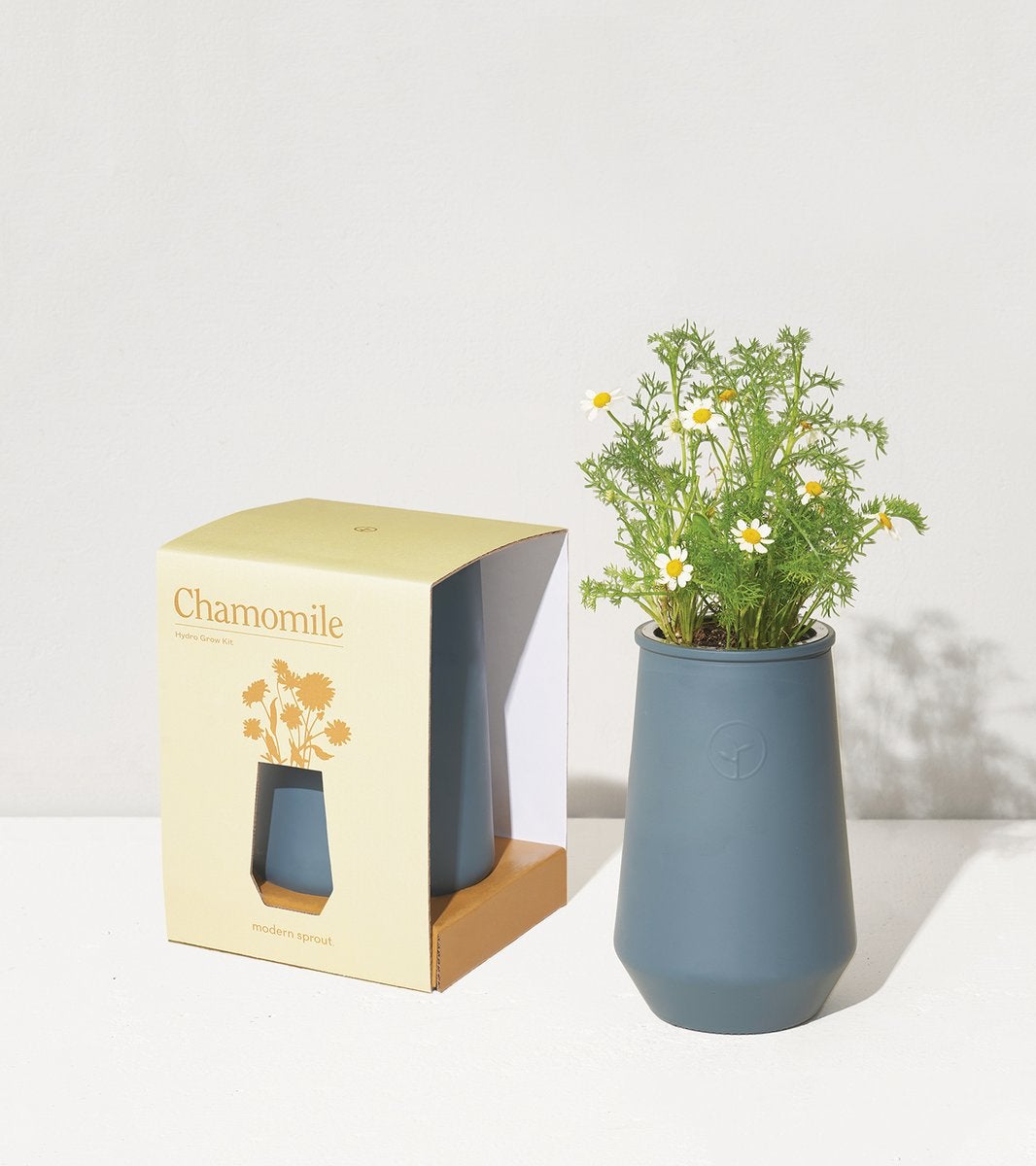 Sprout + Chamomile Indoor Garden Kit