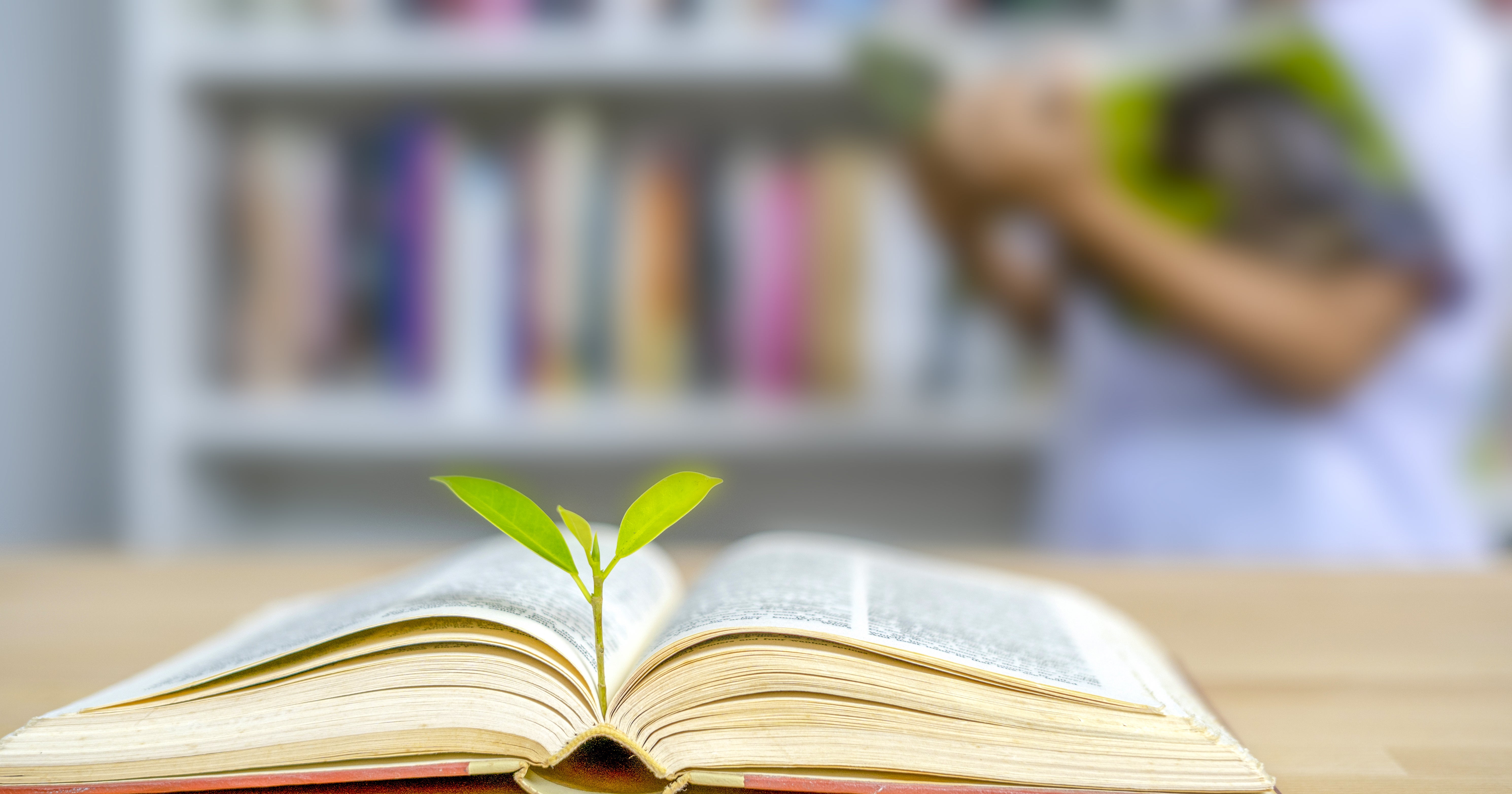 Oxford Dictionary Amends 'Sexist' Definition Of Woman