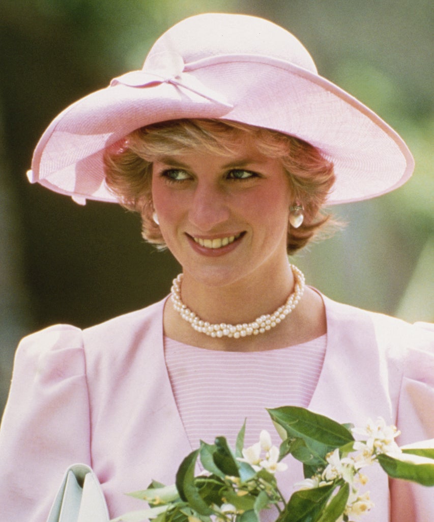 Missing Princess Diana Even More After The Crown? Netflix Has A Solution For That