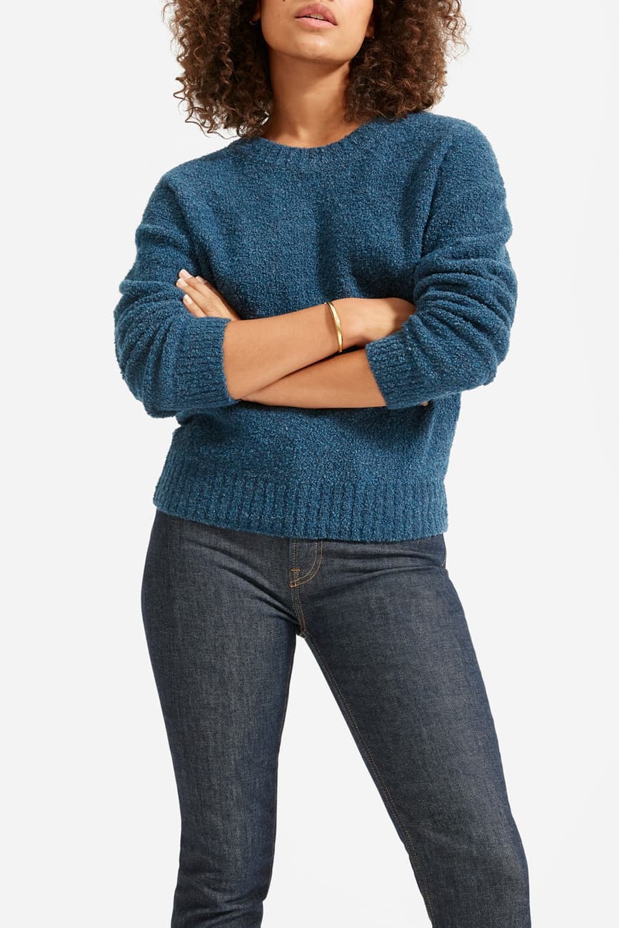 Everlane The Teddy Wool Blend Crew Neck Sweater