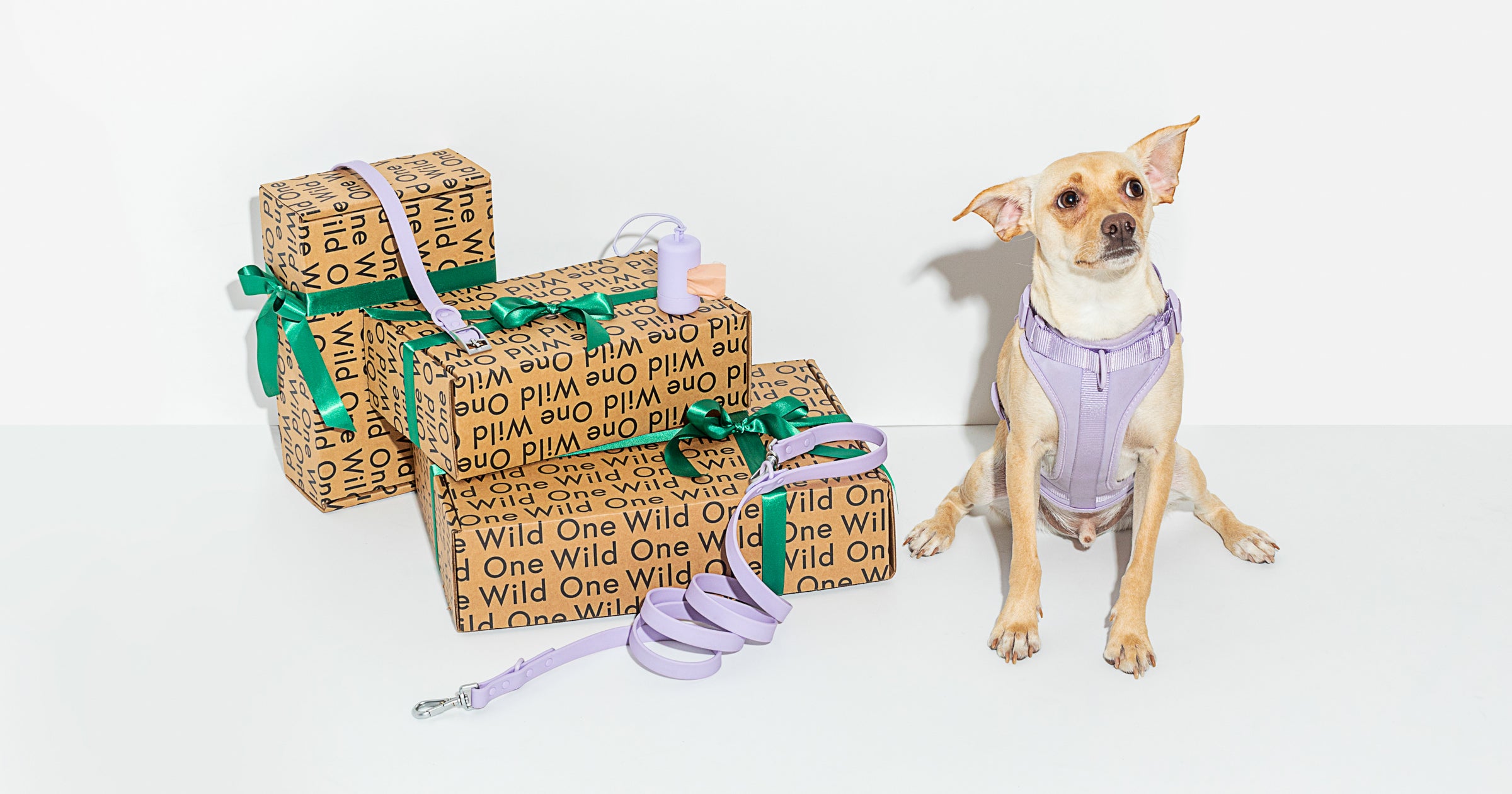 Black Friday Pet Deals Sales On Dog Food And Toys Black Friday Pet Deals Sales On Dog Food And Toys