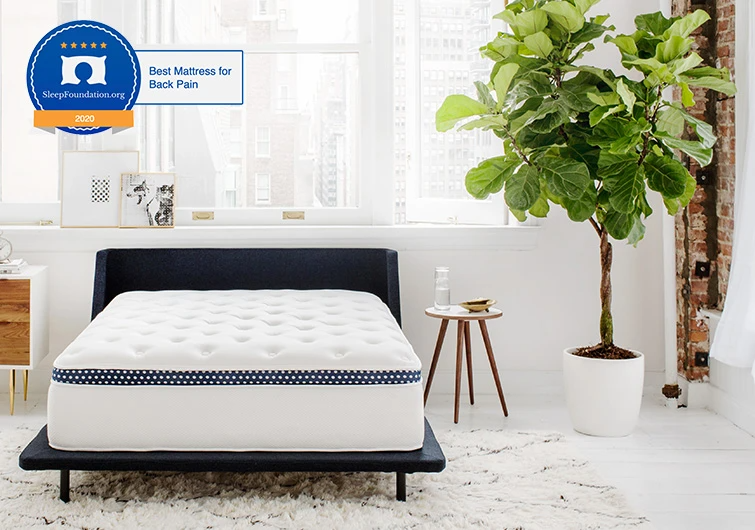 WinkBeds + The WinkBed