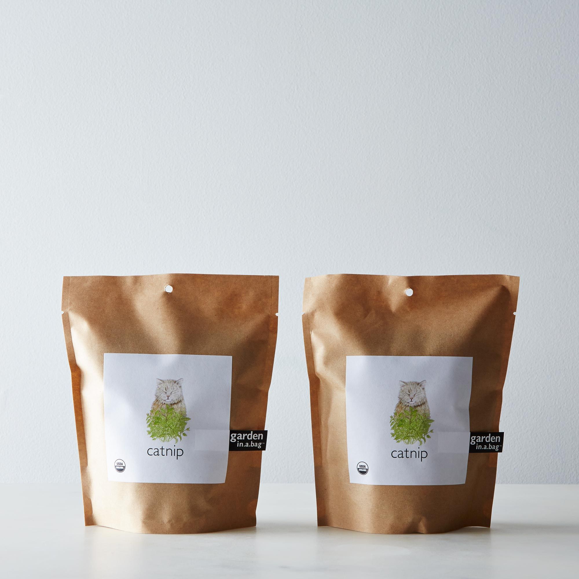 Potting Shed Creations + Catnip Garden in a Bag (Set of 2)