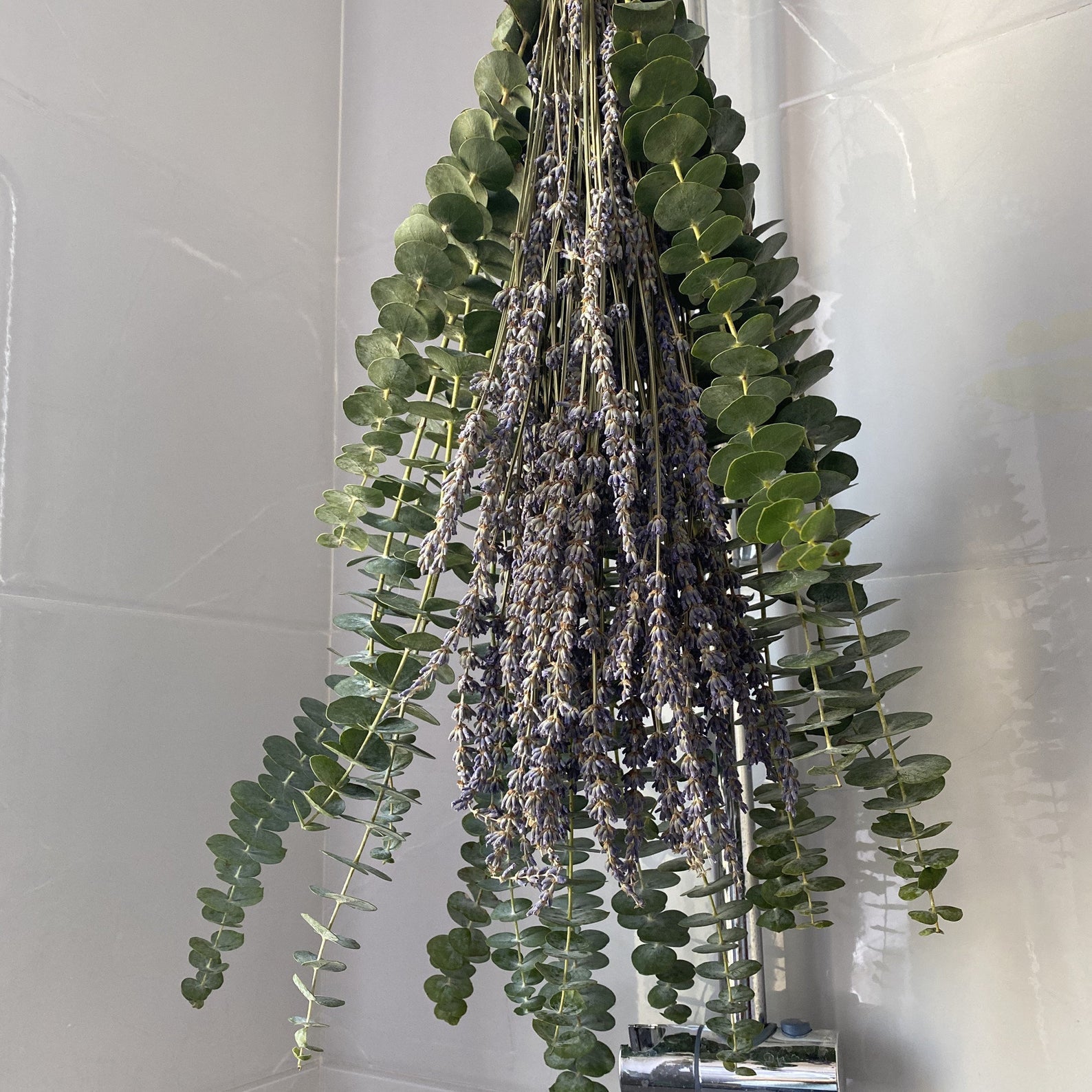 PampasGrassSeason + Shower Eucalyptus Bundle with Lavender
