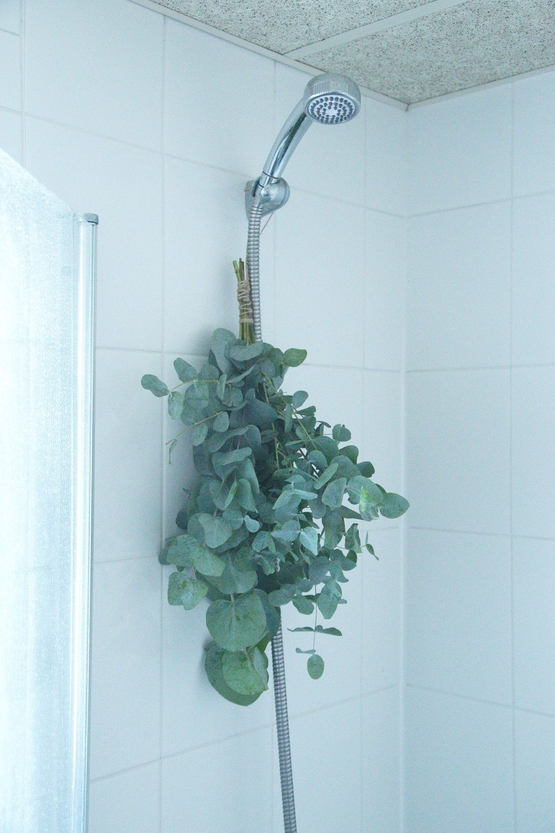 baegarden + Eucalyptus shower bunch