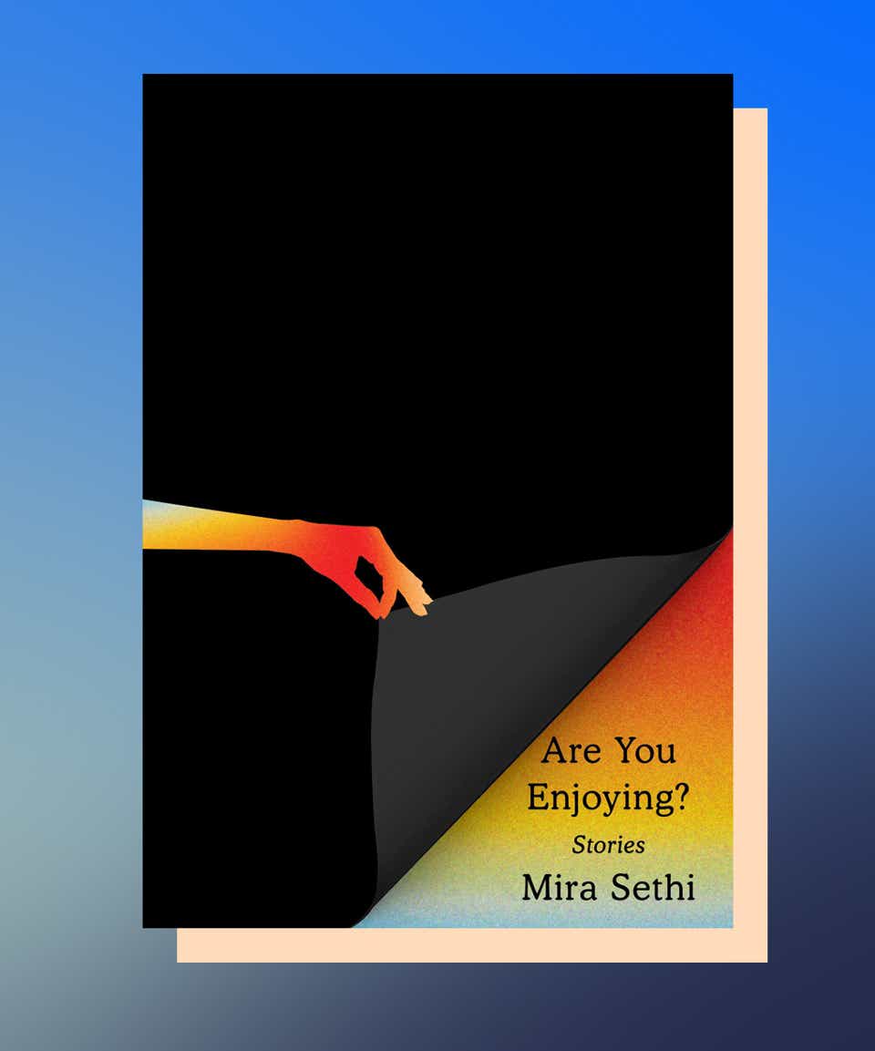 Are You Enjoying? by Mira Sethi 