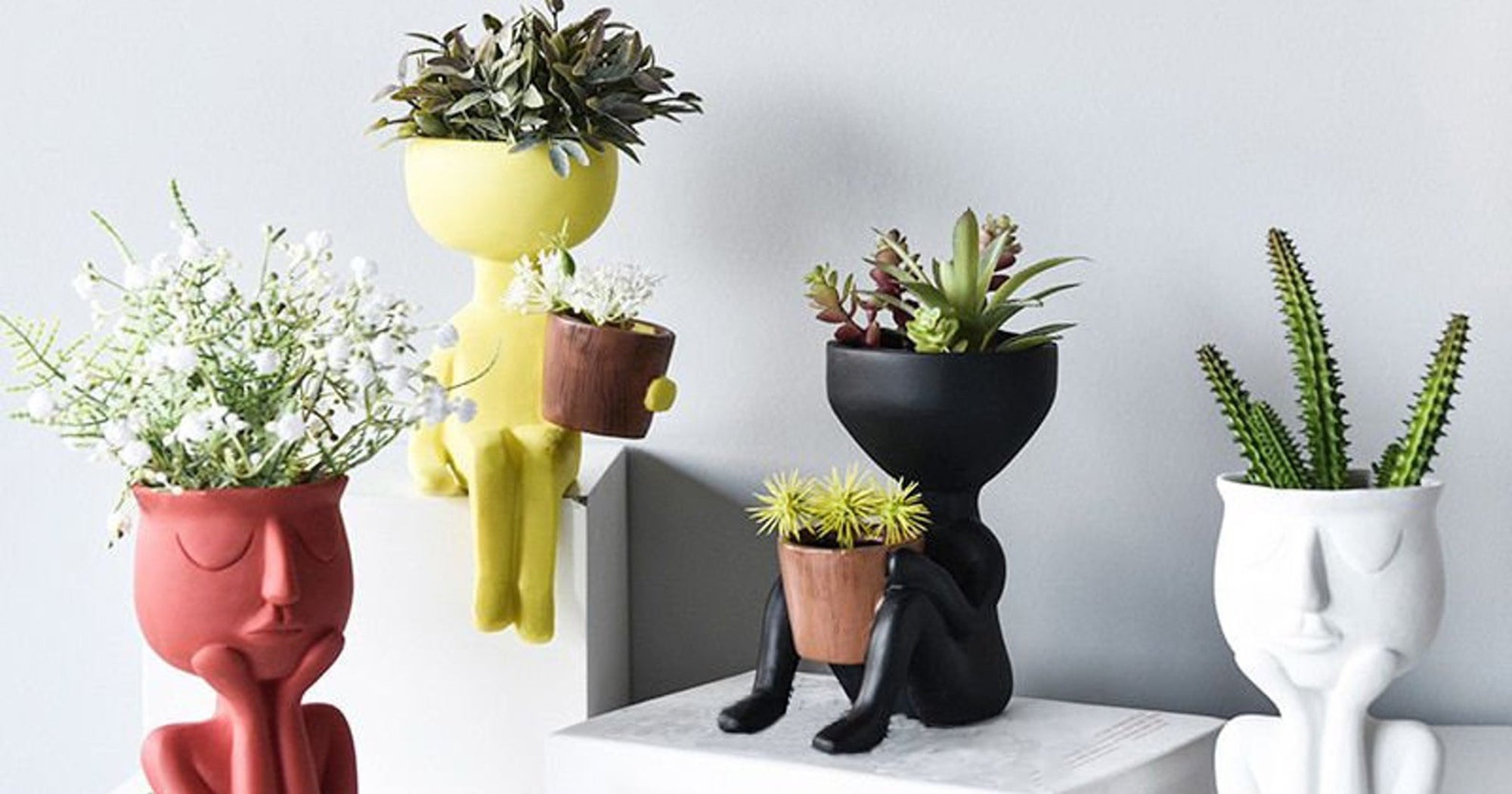 Cutest Decorative Planters For Tiny Plants 2020