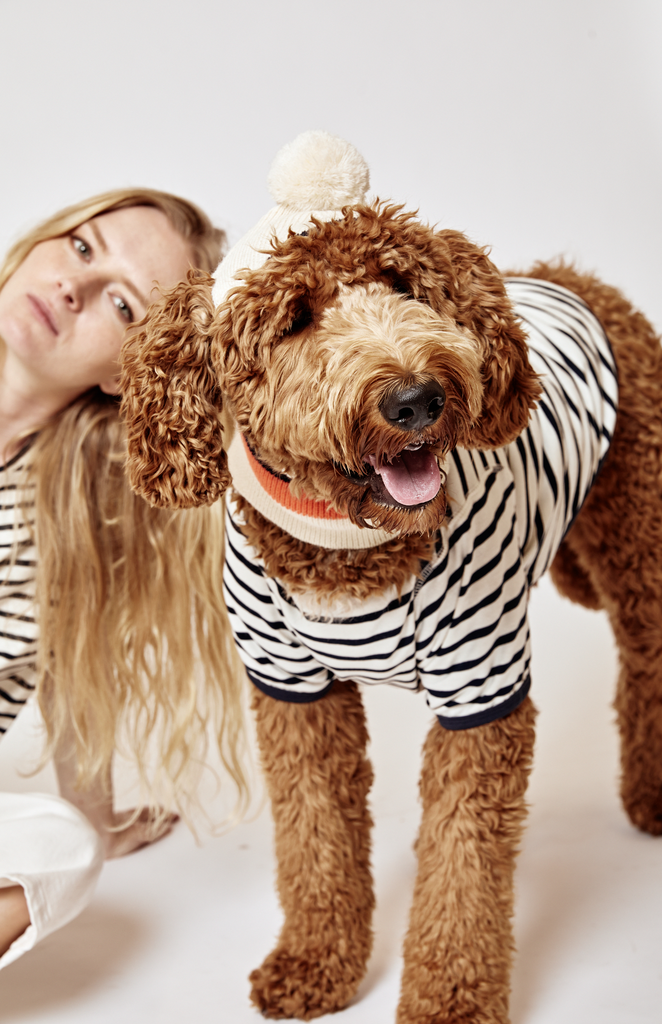 dog balaclava knitting pattern