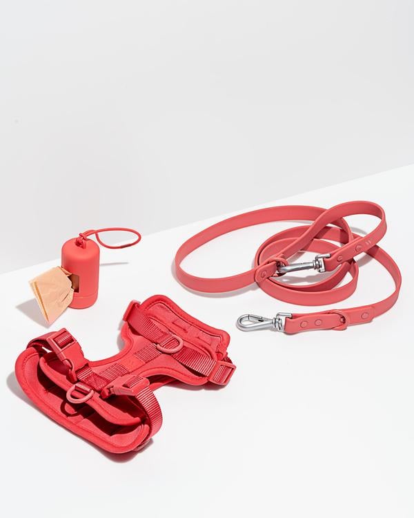 Wild One + Harness Walk Kit