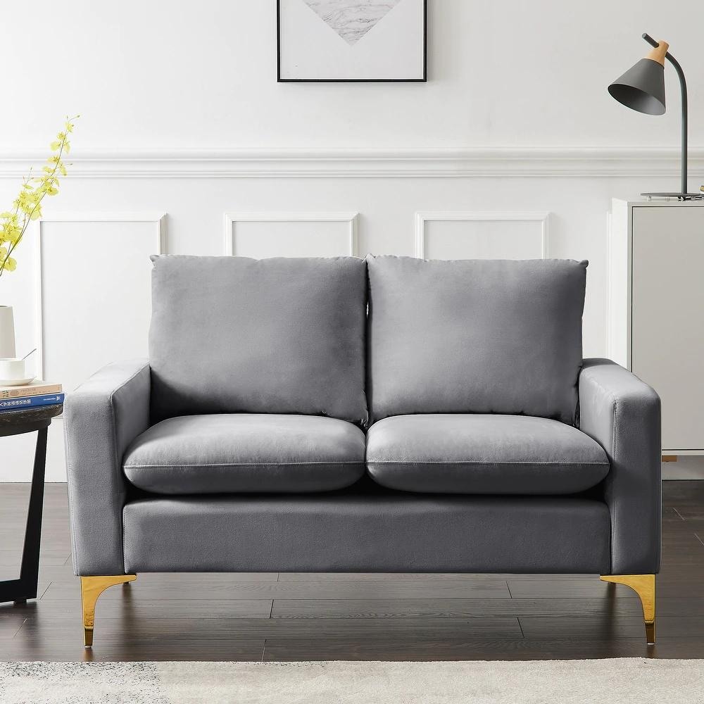 Overstock + Modern Classic Velvet Loveseat