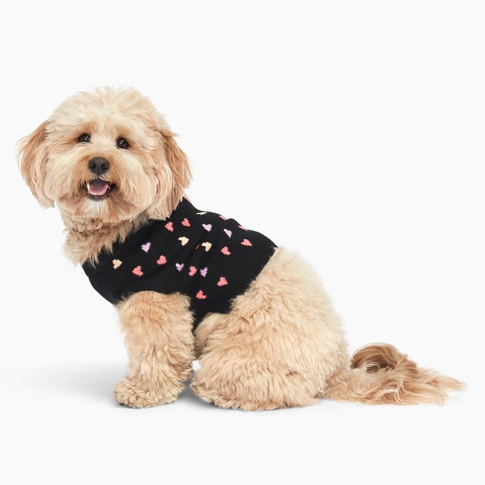 frisco dog sweater