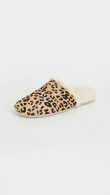 freda salvador slippers