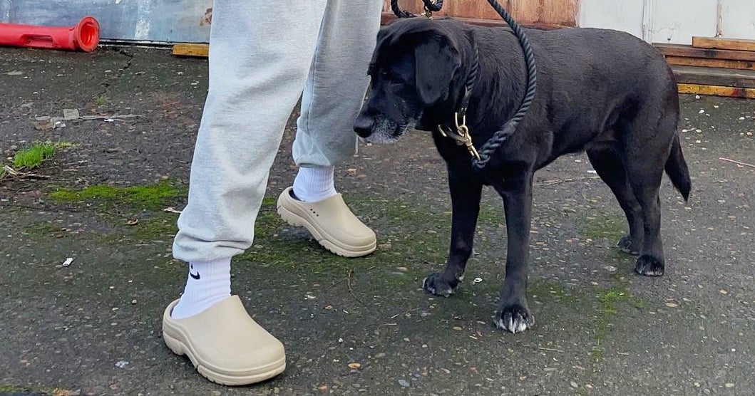 Top 10 slip on shoes for walking the dog You Need To Know