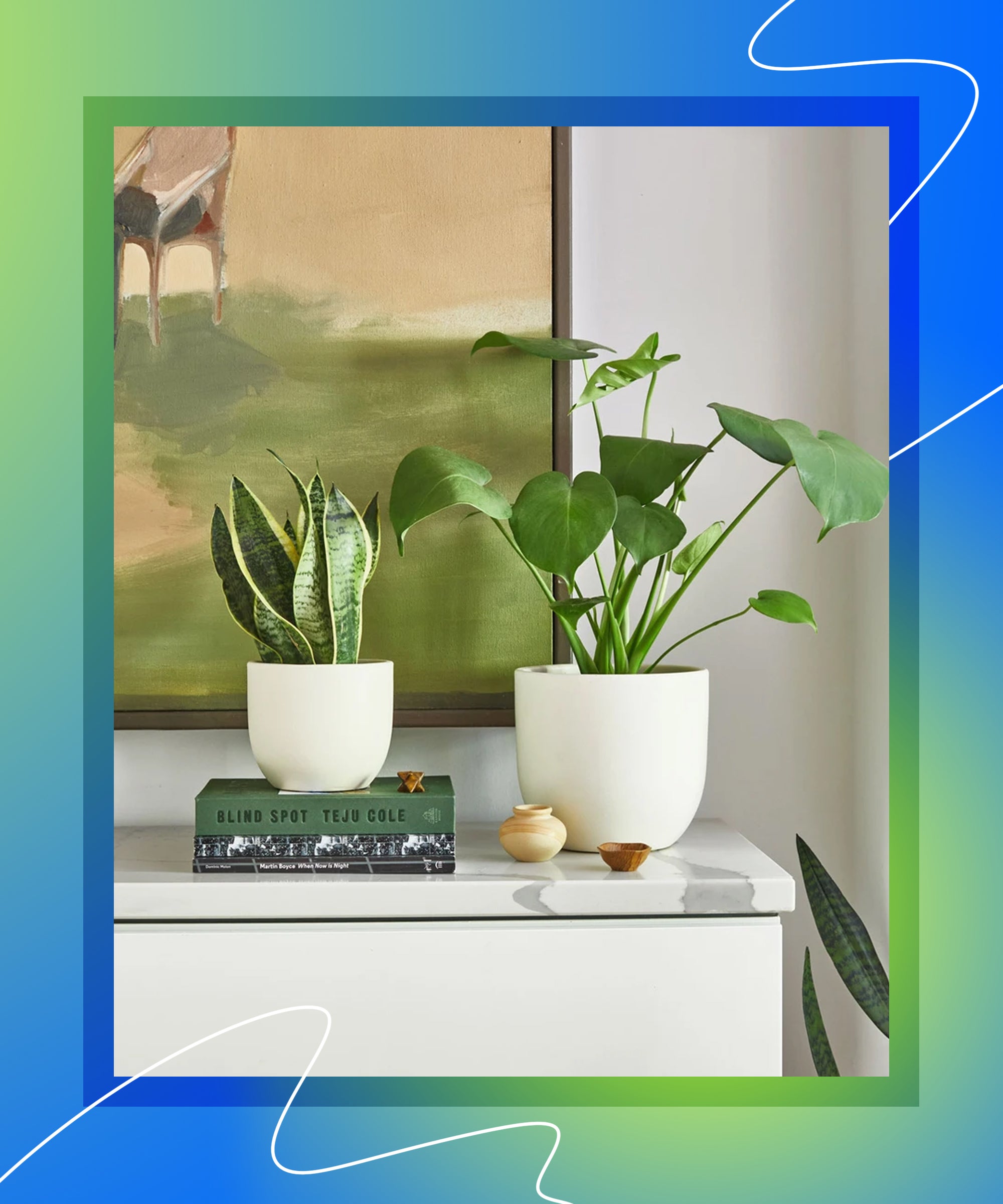Deliver plants online deals