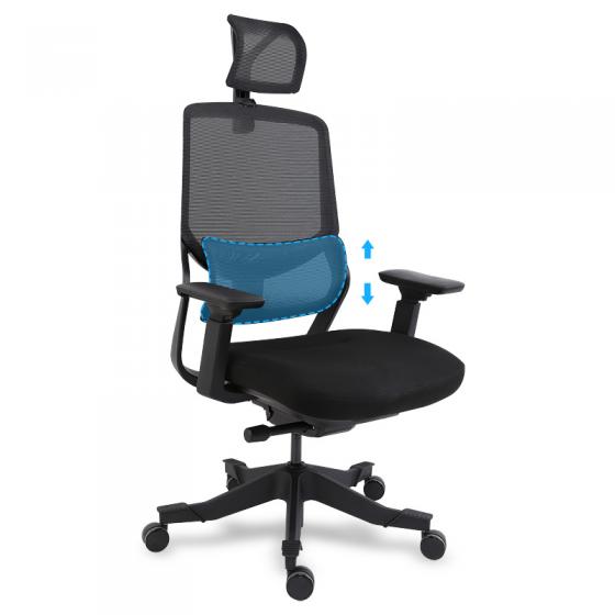 FlexiSpot Soutien Ergonomic Office Desk Chair Grey