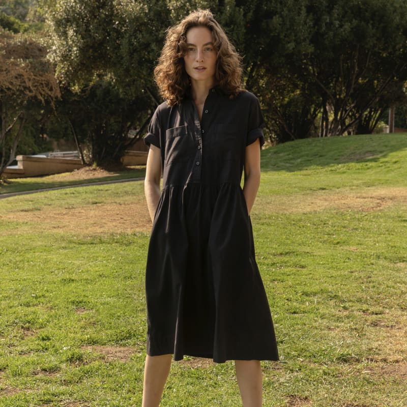 Everlane parklet shirtdress Clearance