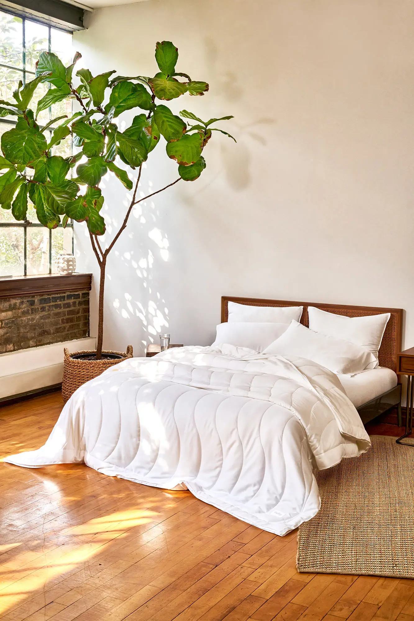 33 Sustainable Bedding Brands Deals 2024