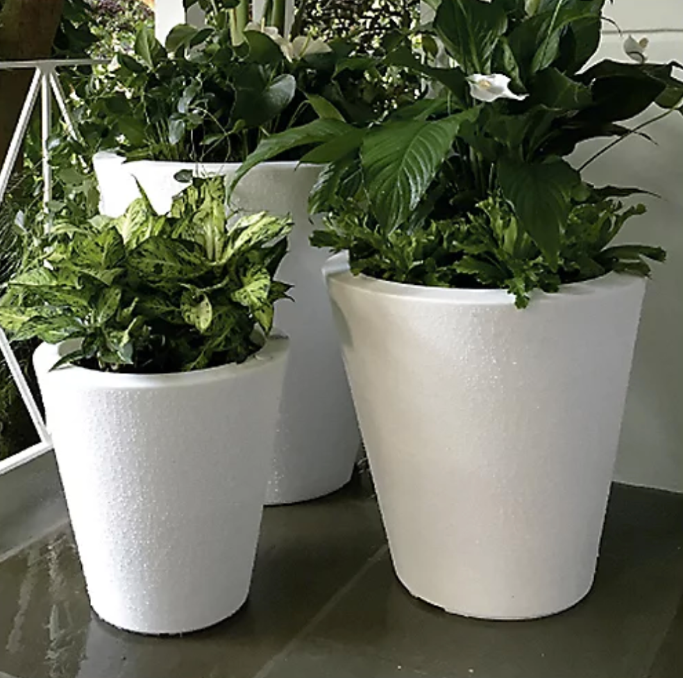 Crescent Garden + Dot Self-Watering Planter by Crescent Garden