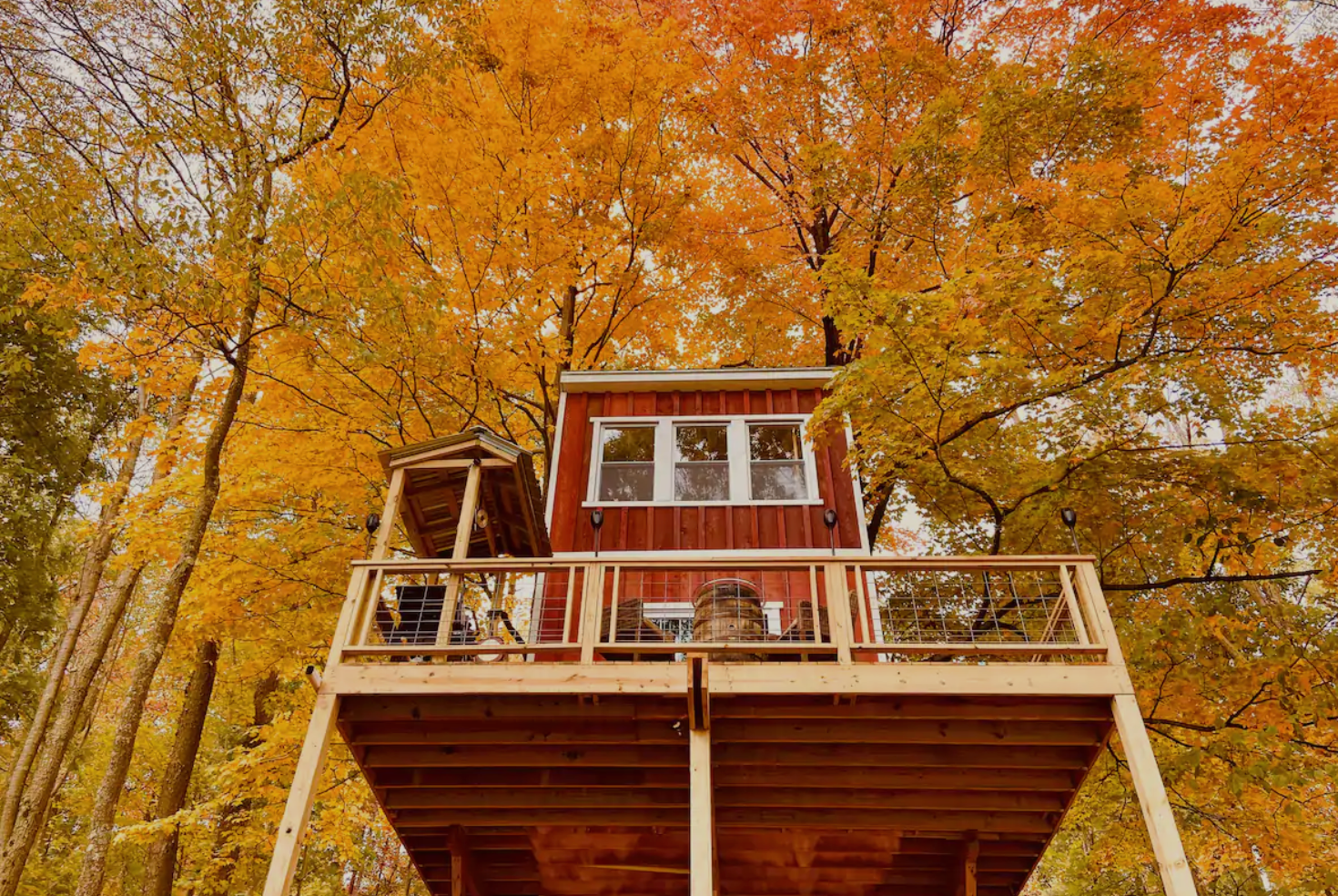 Magical Treehouses