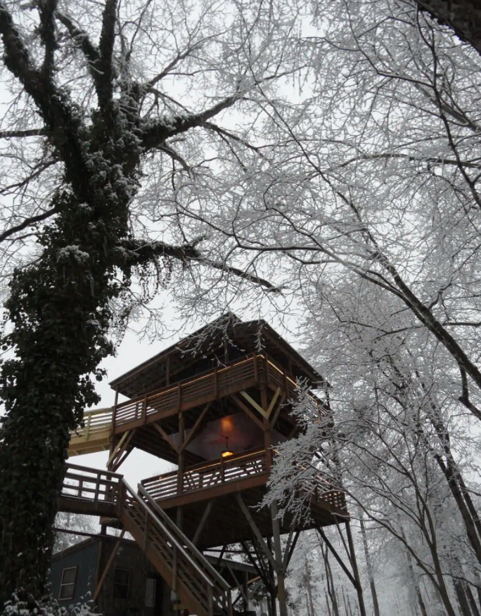 Magical Treehouses