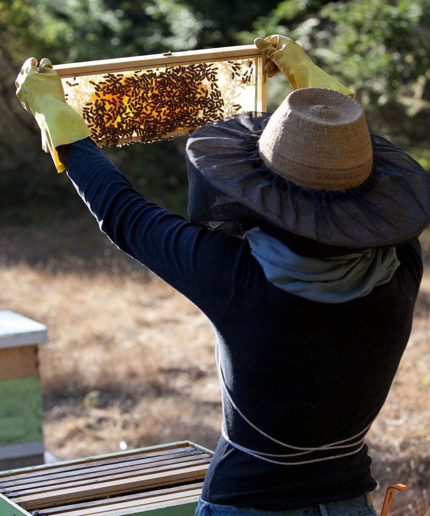 Everything To Know About The Bizarre Drama Surrounding TikTok’s Texas Bee Lady