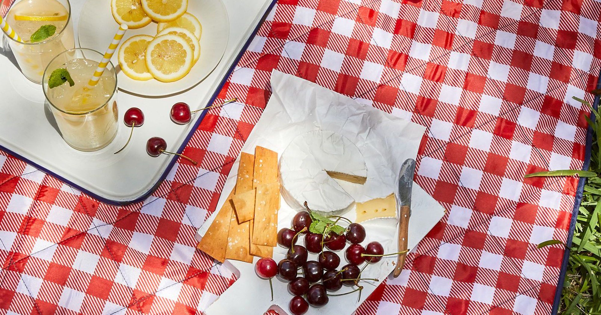 The Best Picnic Blankets Gingham, Waterproof, & More