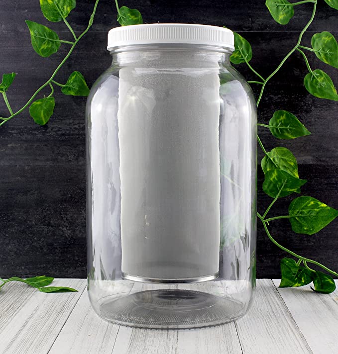 Solstice Tea Traders + One Gallon Cold Brew Coffee Maker