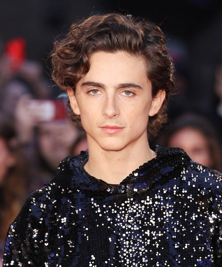 Timothée Chalamet Dyed His Hair Red — & Twitter Is Ablaze