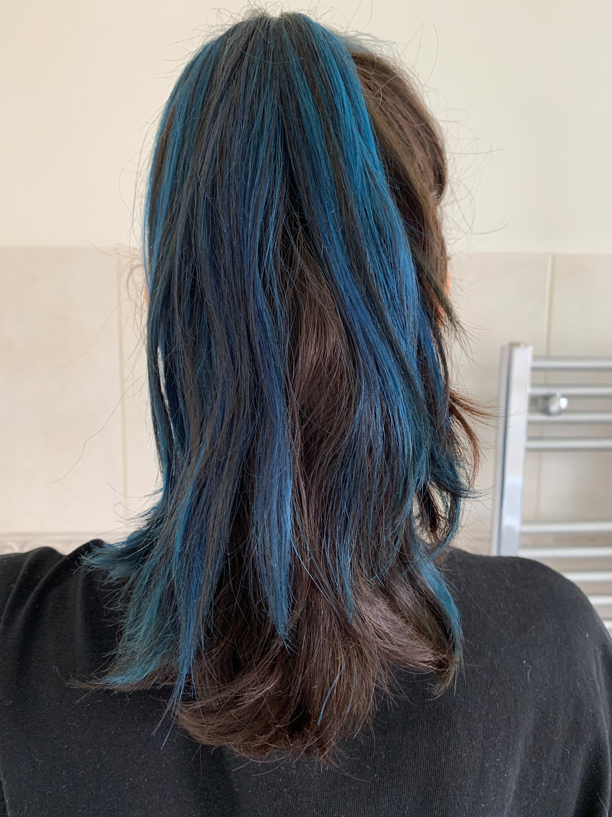 I Tried TikTok Double Ponytail Hack For Longer Hair I Tried TikTok Double Ponytail Hack For Longer Hair