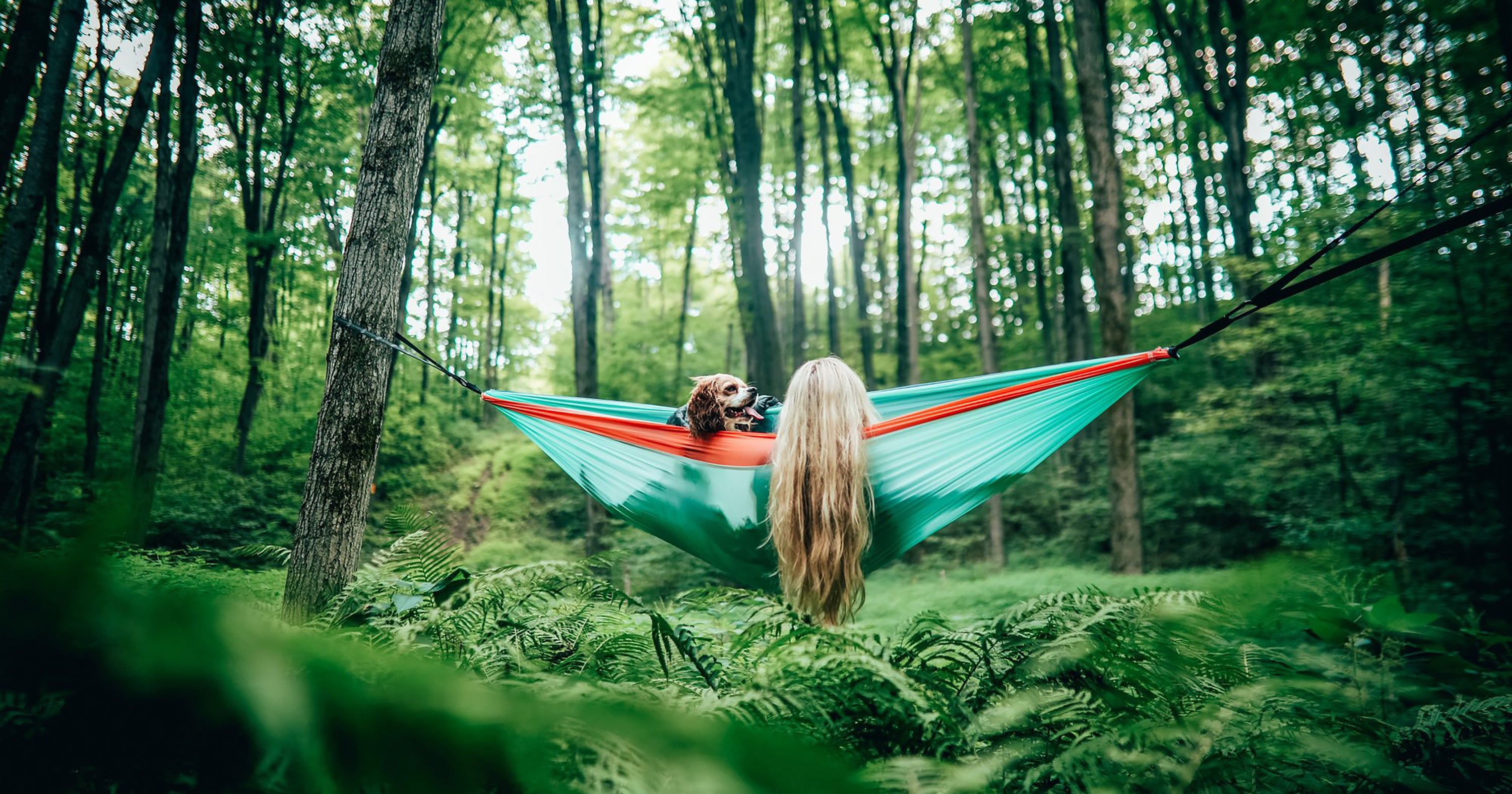 8 Best Backyard Hammocks For Summer 2021
