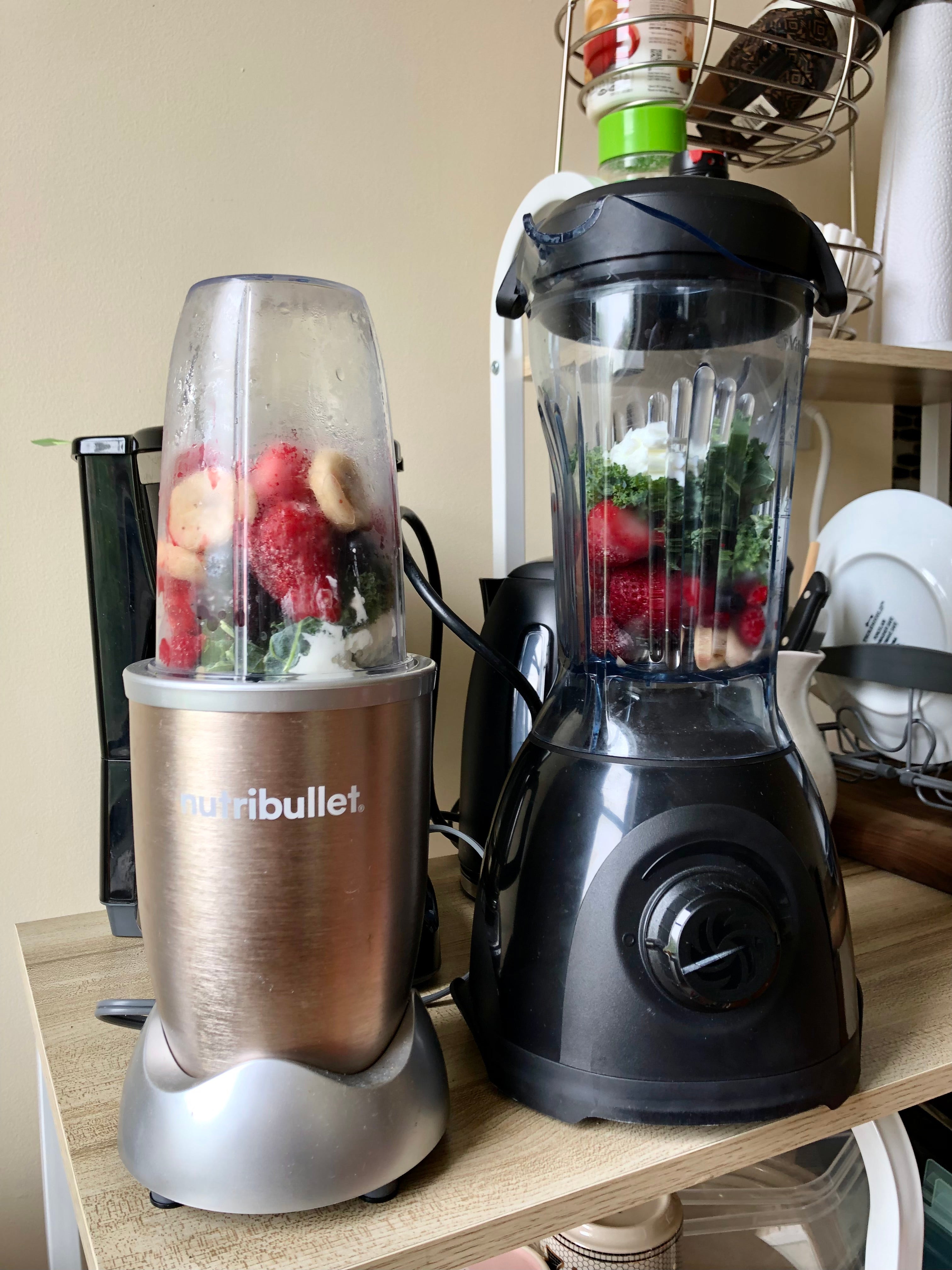 $250 Vitamix ONE versus $100 NutriBullet Review