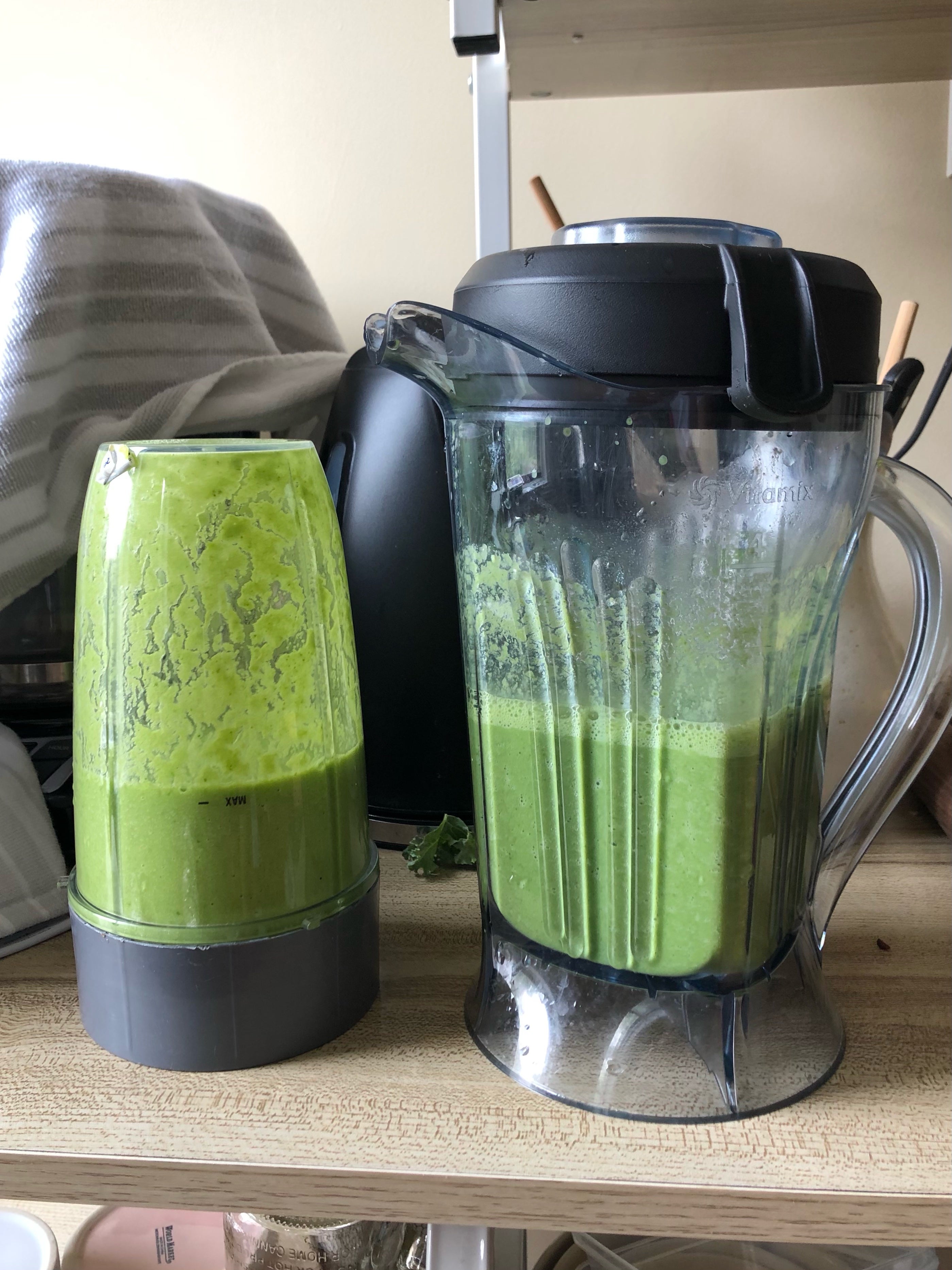 $250 Vitamix ONE versus $100 NutriBullet Review