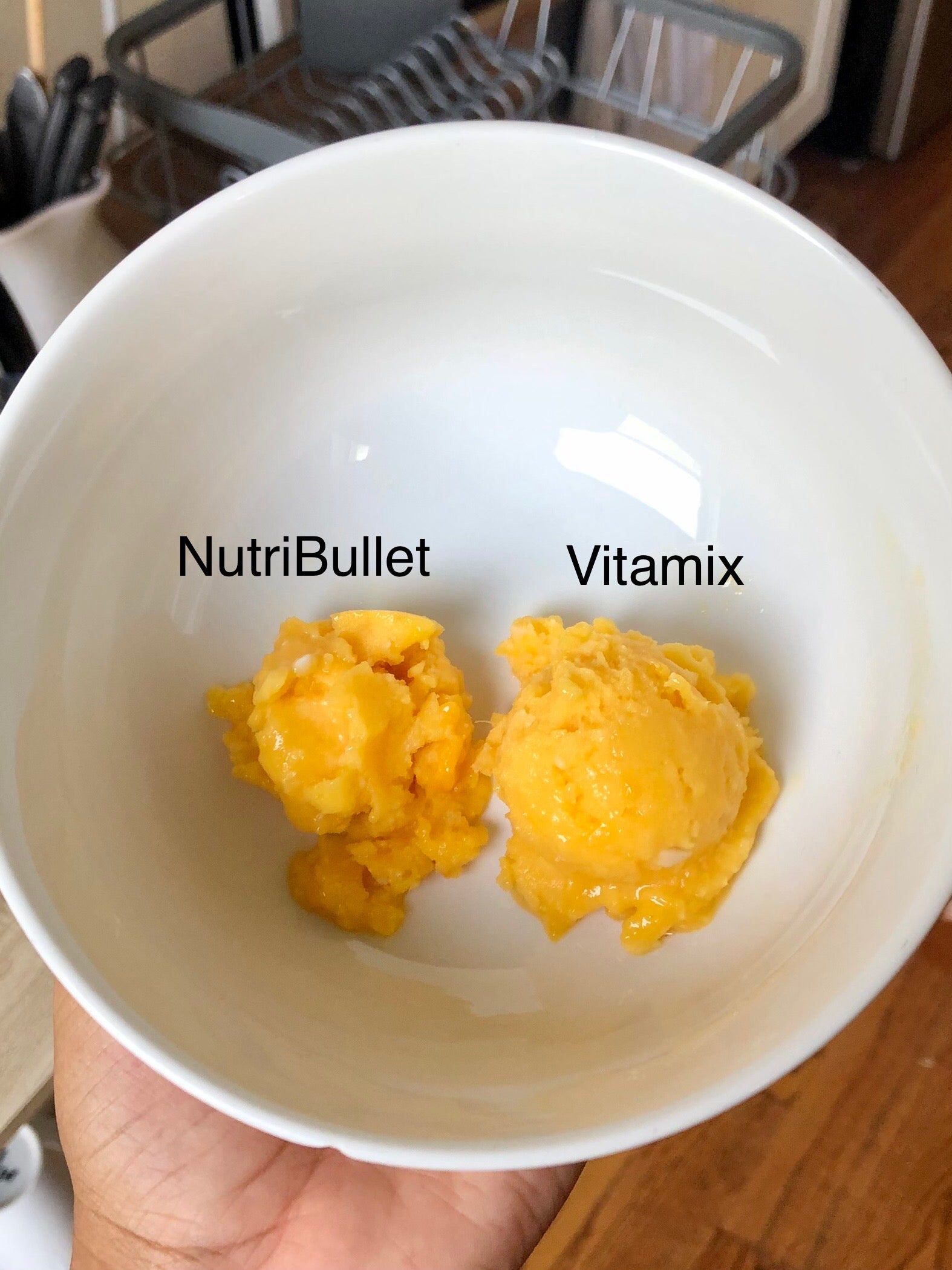 $250 Vitamix ONE versus $100 NutriBullet Pro Review