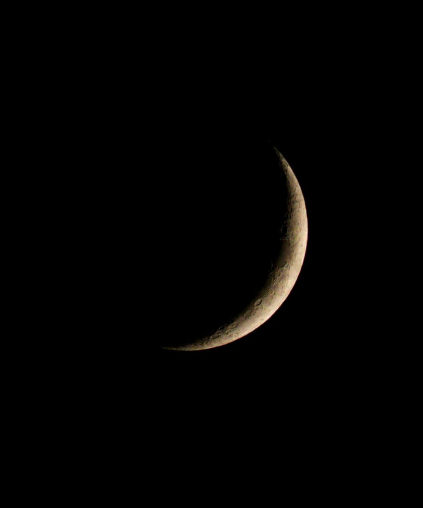 Here’s Why The Lion’s Gate Portal Is Making This New Moon “Super Intense”