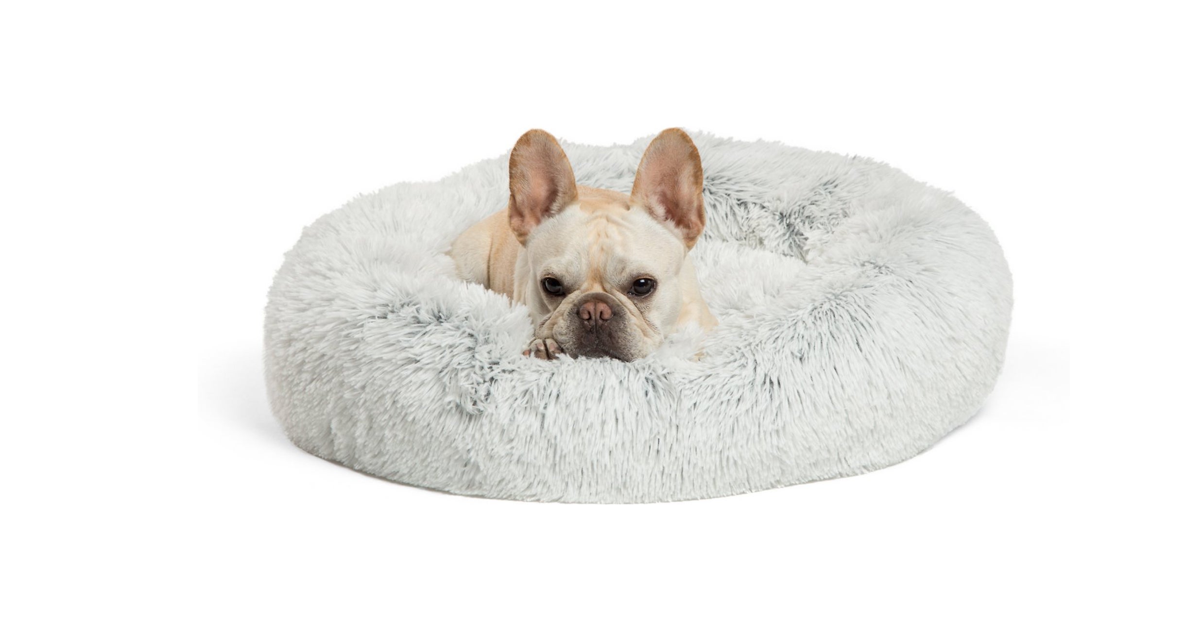 Best Cuddler Dog Bed | lupon.gov.ph