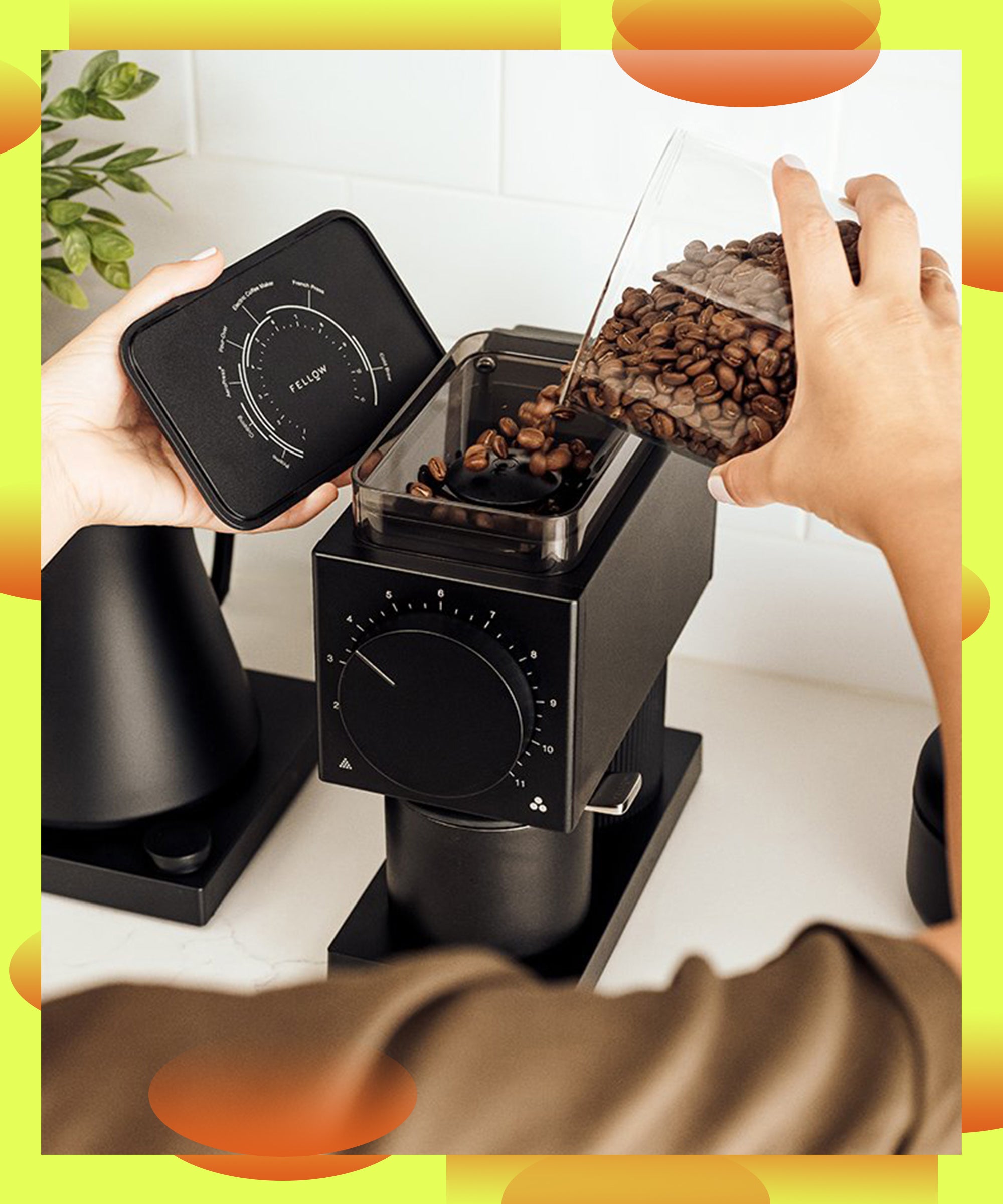 Discover Which Grinder Reigns Supreme: Spice or Coffee