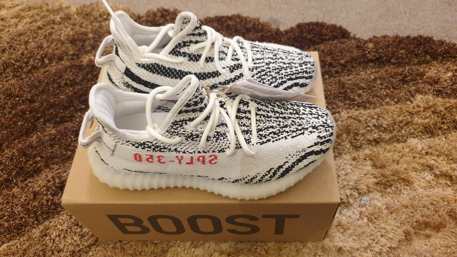 zebra yeezy 5.5