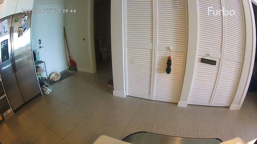 Furbo Dog Camera