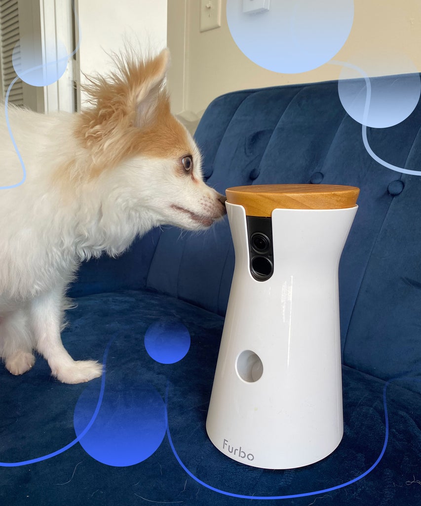 Furbo Dog Camera