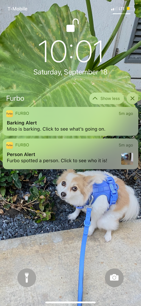 Furbo Dog Camera