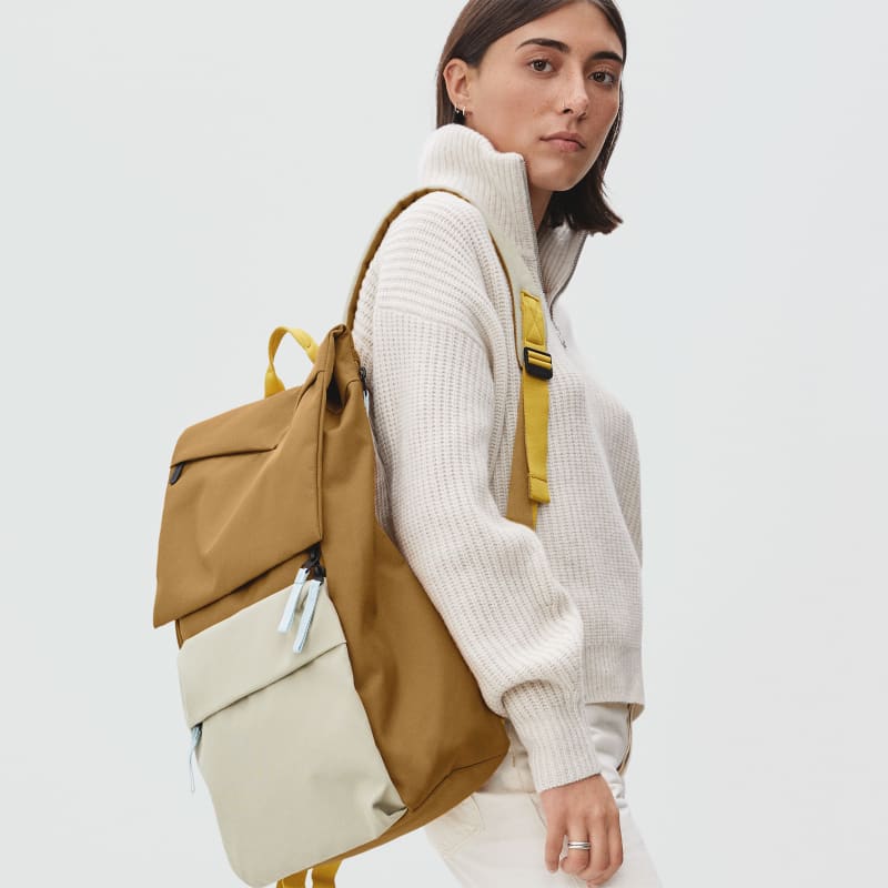 Everlane + The ReNew Transit Backpack