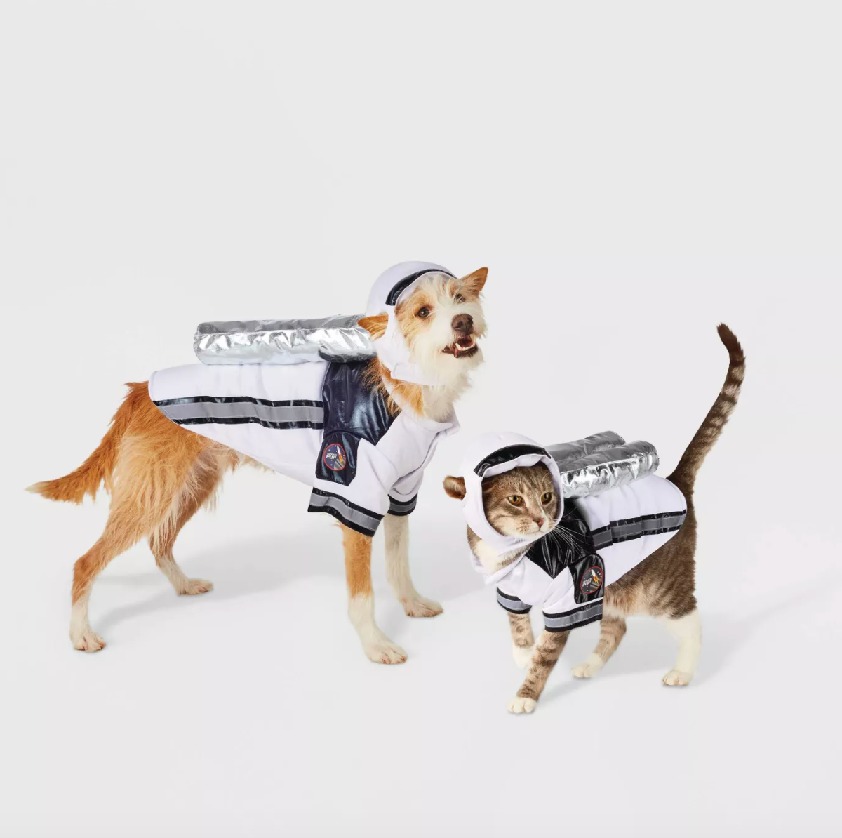Cat sales astronaut costume