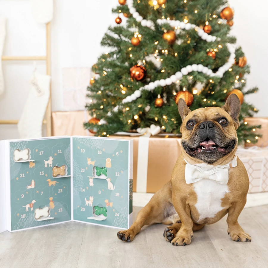 Wufers + Advent Cookie Calendar